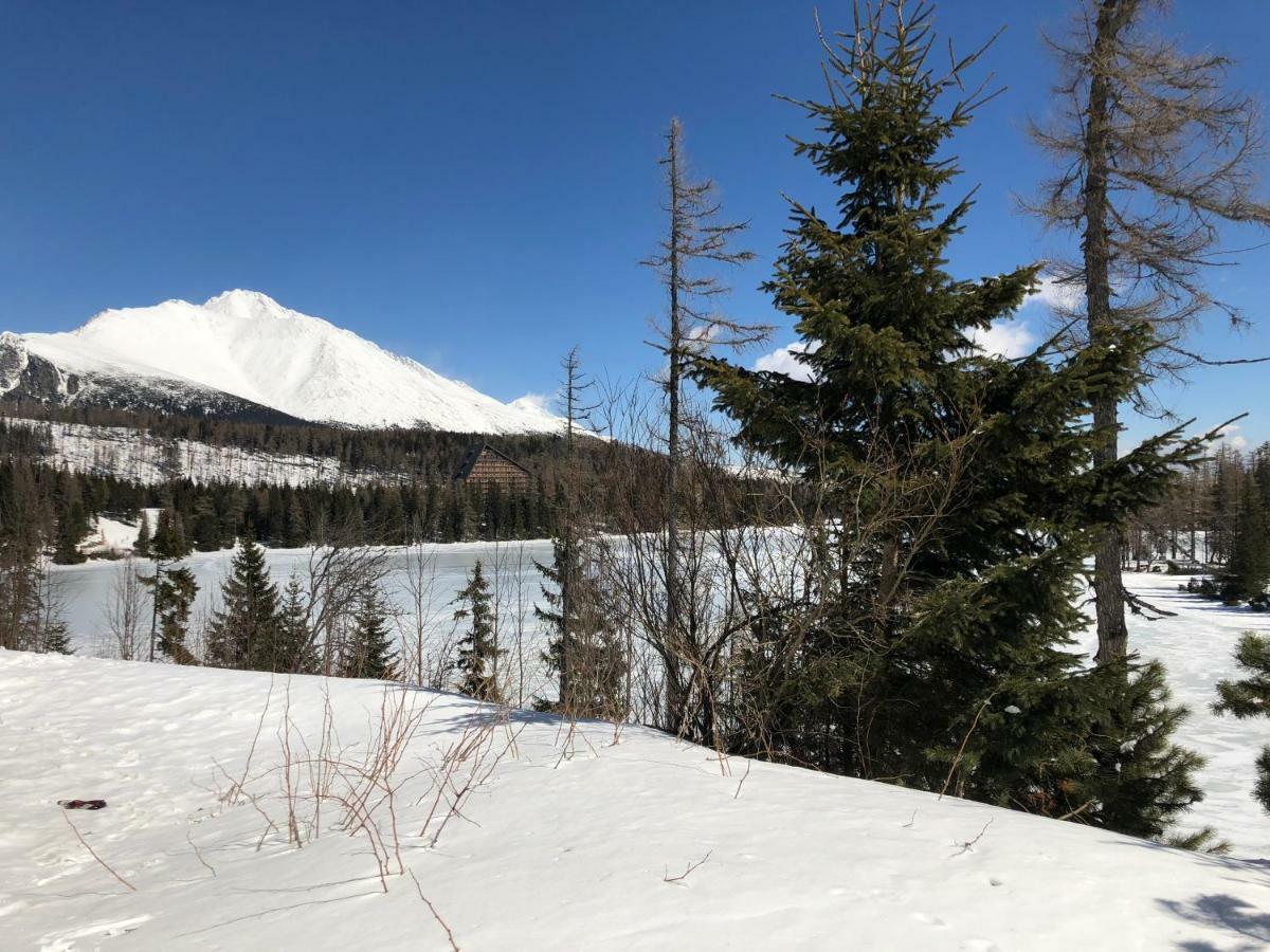 Apartamento Vila Horec, Vysne Hagy Vysoké Tatry Exterior foto