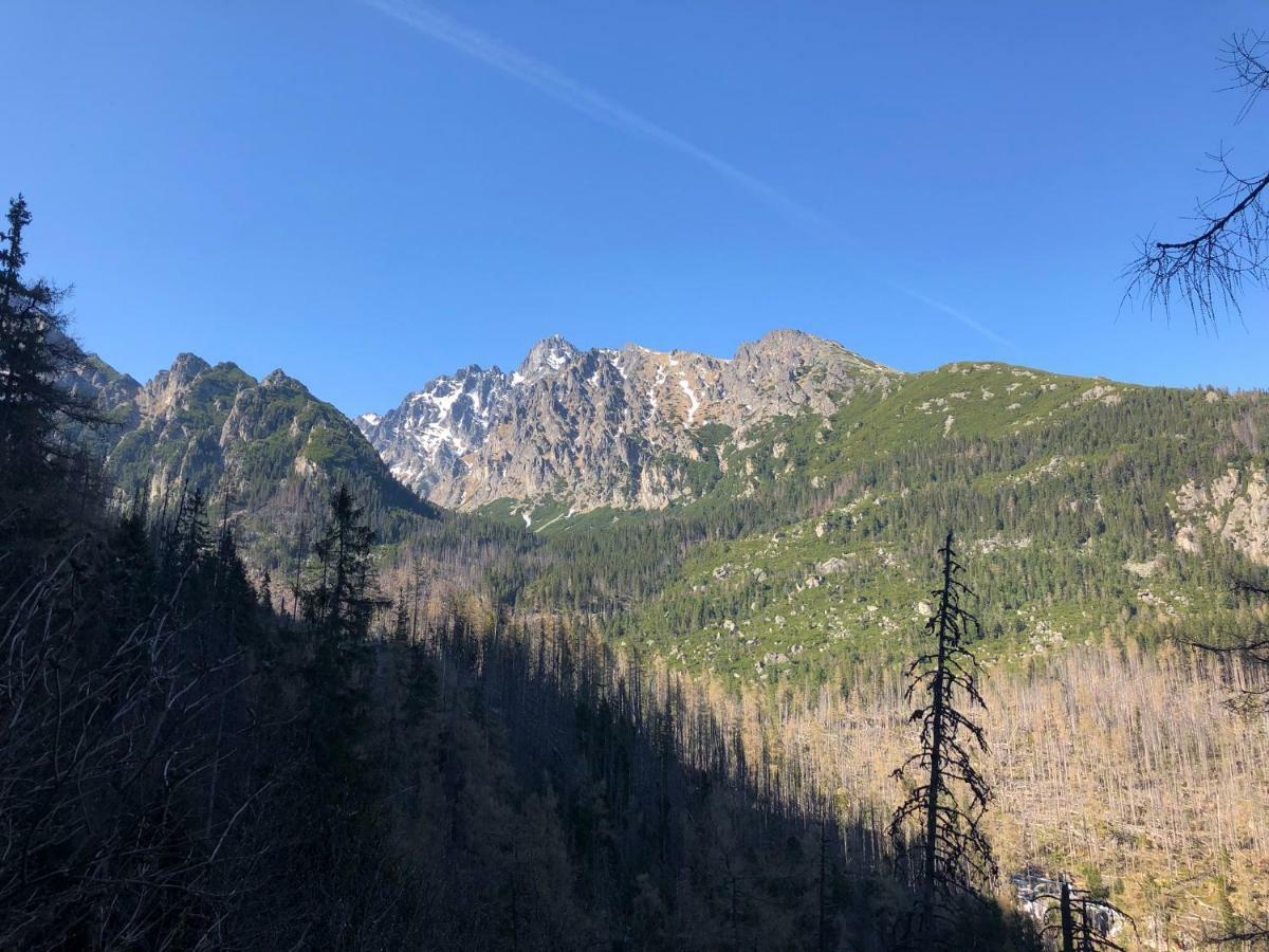 Apartamento Vila Horec, Vysne Hagy Vysoké Tatry Exterior foto